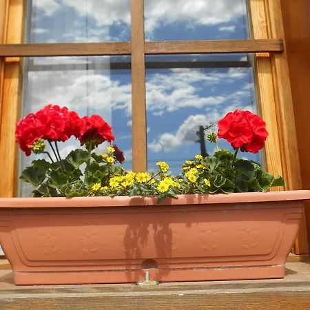 Vendegmarasztalo Porta Guest house *